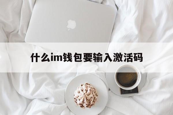 什么im钱包要输入激活码,imtoken钱包怎么激活