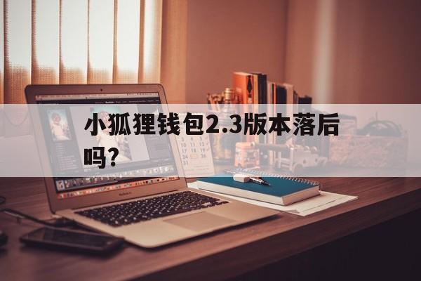 小狐狸钱包2.3版本落后吗?的简单介绍