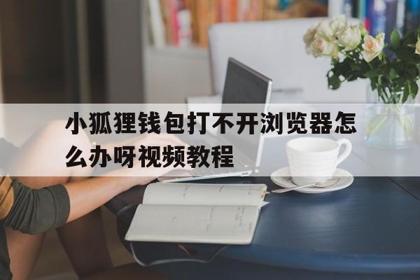 小狐狸钱包打不开浏览器怎么办呀视频教程的简单介绍