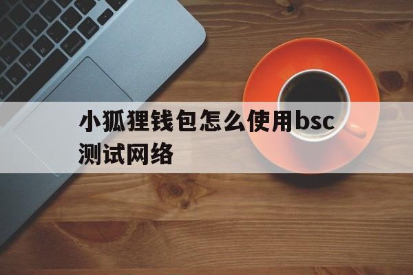 小狐狸钱包怎么使用bsc测试网络,小狐狸钱包怎么使用bsc测试网络信息