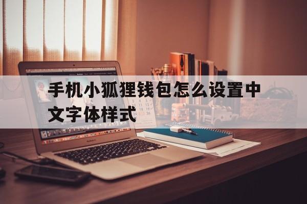 手机小狐狸钱包怎么设置中文字体样式的简单介绍