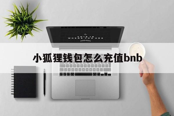 小狐狸钱包怎么充值bnb,小狐狸钱包怎么充值usdt