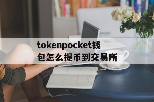 tokenpocket钱包怎么提币到交易所,token pocket钱包怎么提币到交易所