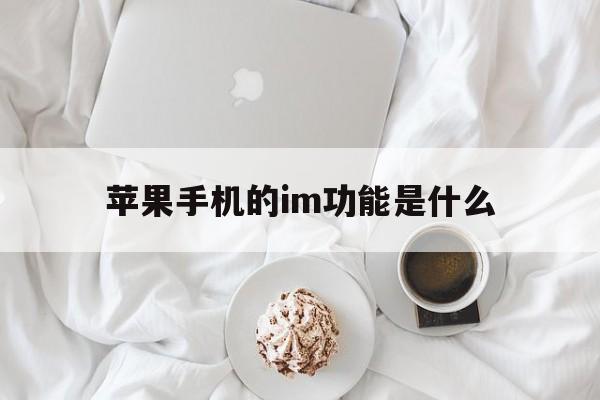 苹果手机的im功能是什么,苹果手机imsi是什么意思在哪里