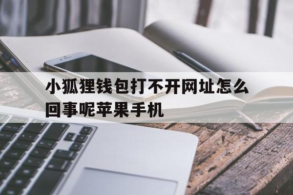 小狐狸钱包打不开网址怎么回事呢苹果手机,小狐狸钱包打不开网址怎么回事呢苹果手机怎么设置