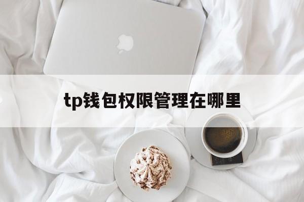 tp钱包权限管理在哪里,tp钱包的u莫名被转账了