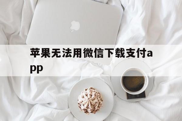 苹果无法用微信下载支付app,苹果手机下载不了app微信支付无效