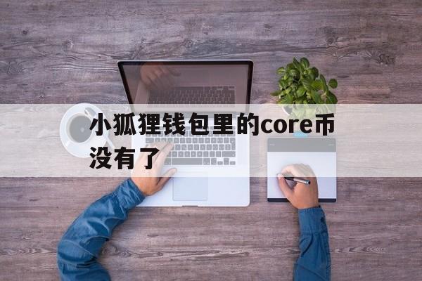 关于小狐狸钱包里的core币没有了的信息