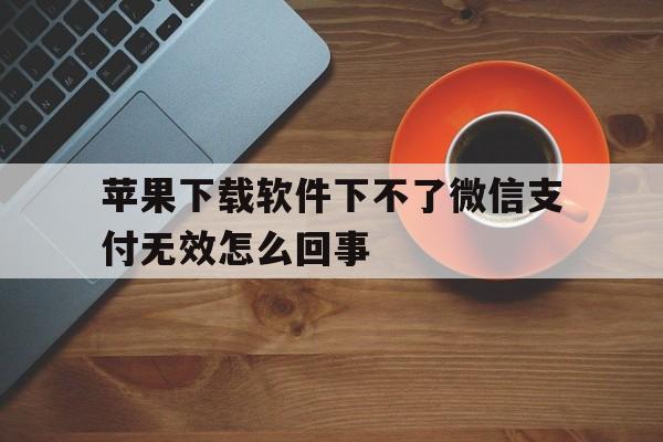 苹果下载软件下不了微信支付无效怎么回事,苹果下载不了app怎么回事说微信支付无效