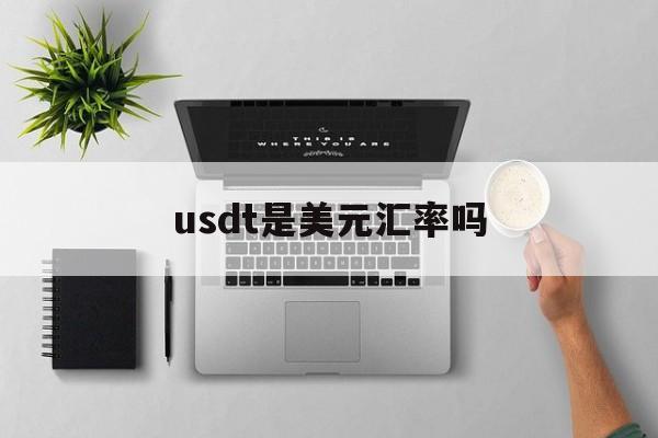 usdt是美元汇率吗,usdt和美元汇率一样吗