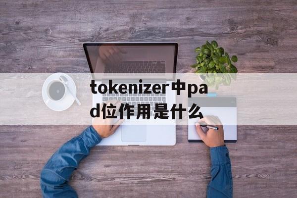 包含tokenizer中pad位作用是什么的词条