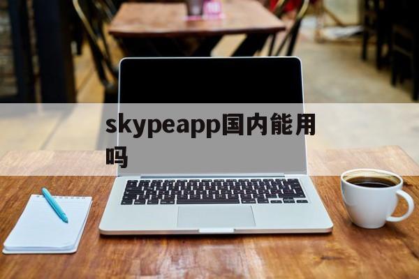 skypeapp国内能用吗,skype2019在中国能用吗