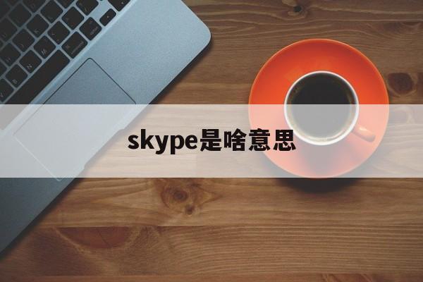 skype是啥意思,skype什么意思啊
