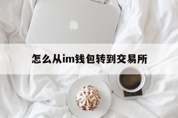 怎么从im钱包转到交易所,怎么从imtoken钱包转币到交易所