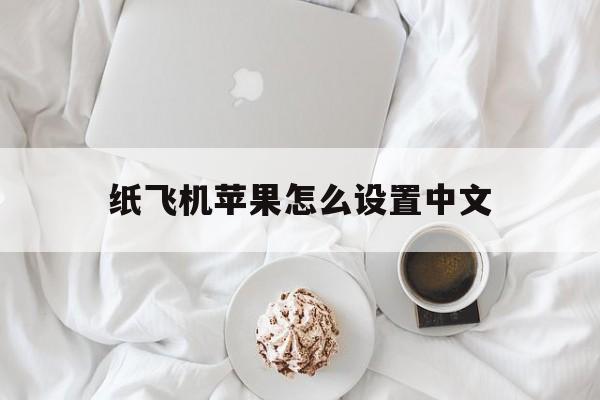 纸飞机苹果怎么设置中文,纸飞机苹果怎么设置中文版