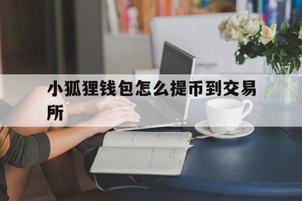 小狐狸钱包怎么提币到交易所,小狐狸钱包怎么提币到交易所里