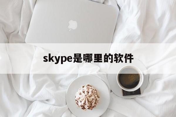skype是哪里的软件,skype是哪个国家的软件