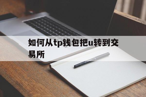 如何从tp钱包把u转到交易所,tp钱包的usdt怎么转到交易所