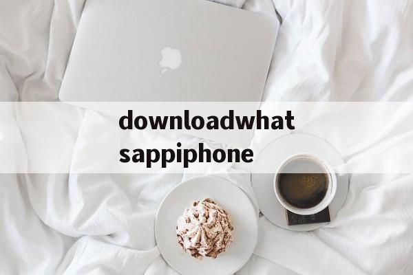 包含downloadwhatsappiphone的词条