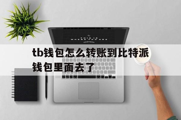 关于tb钱包怎么转账到比特派钱包里面去了的信息