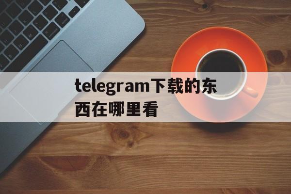 telegram下载的东西在哪里看的简单介绍