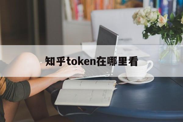 知乎token在哪里看的简单介绍