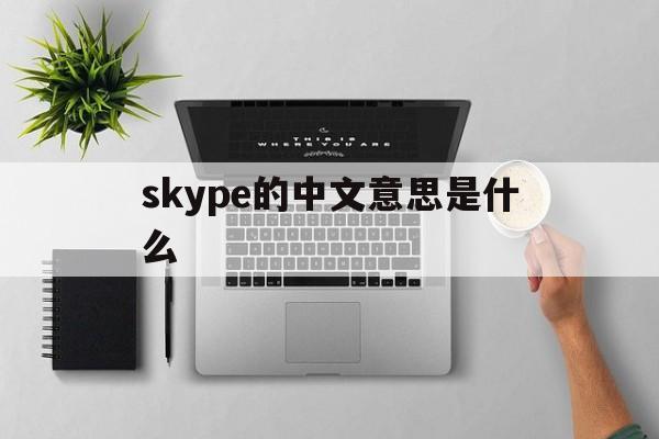 skype的中文意思是什么,skype的中文意思是什么呢