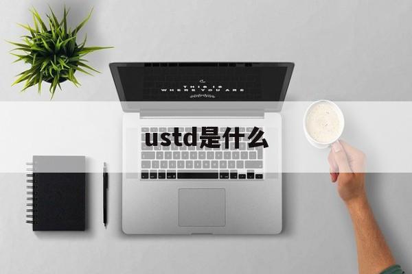 ustd是什么,usTd是什么货币