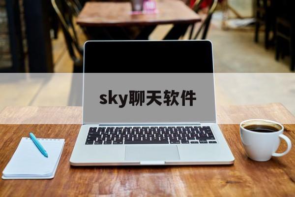 sky聊天软件,SKY聊天软件什么时候开始用