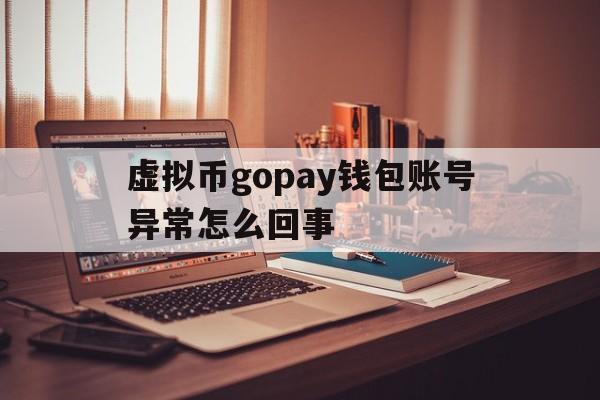 虚拟币gopay钱包账号异常怎么回事的简单介绍