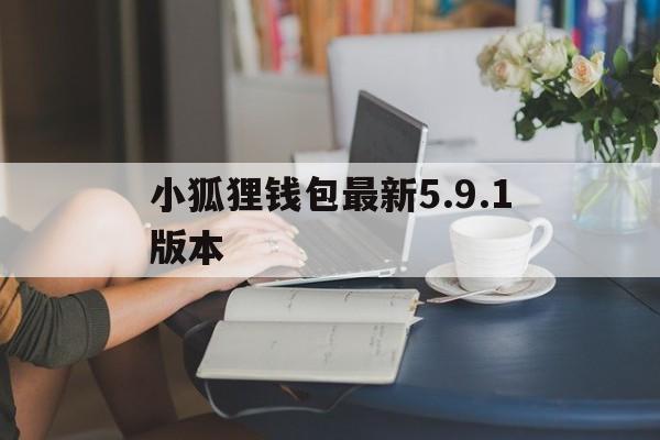 小狐狸钱包最新5.9.1版本,小狐狸钱包最新591版本怎么用