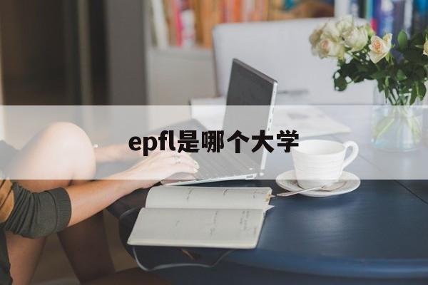 epfl是哪个大学,epfl cs phd