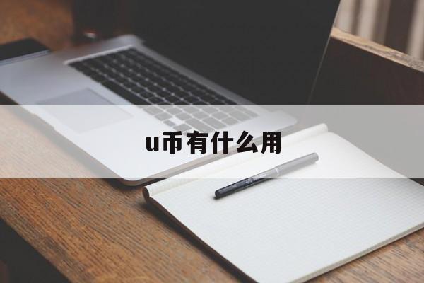 u币有什么用,深圳通U币有什么用