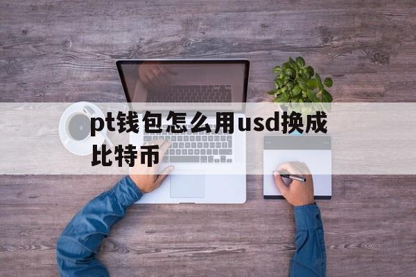 pt钱包怎么用usd换成比特币,pt钱包怎么用usd换成比特币了