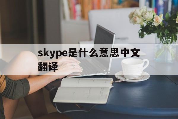 skype是什么意思中文翻译,skype是什么意思中文翻译成英文