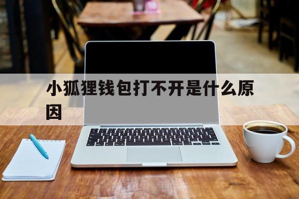 小狐狸钱包打不开是什么原因,小狐狸钱包打不开是什么原因怎么解决