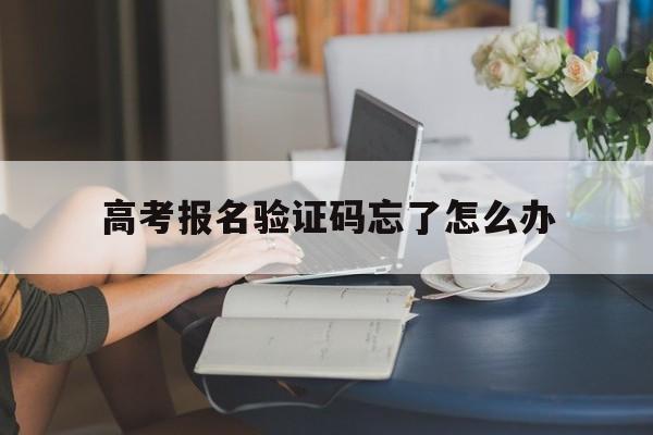 高考报名验证码忘了怎么办,高考报名时的短信验证码给忘记了