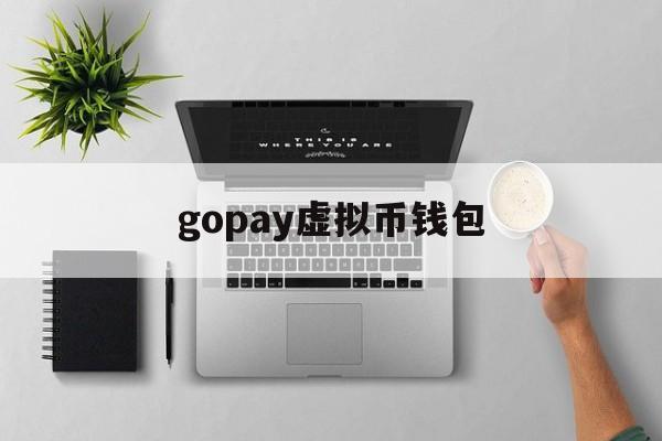 gopay虚拟币钱包,gopay虚拟币钱包交易违法吗