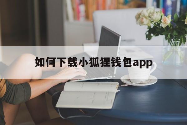 包含如何下载小狐狸钱包app的词条