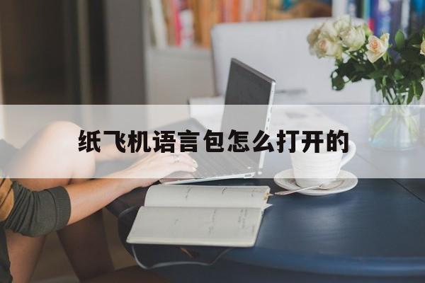 纸飞机语言包怎么打开的,纸飞机语言怎么转化成中文