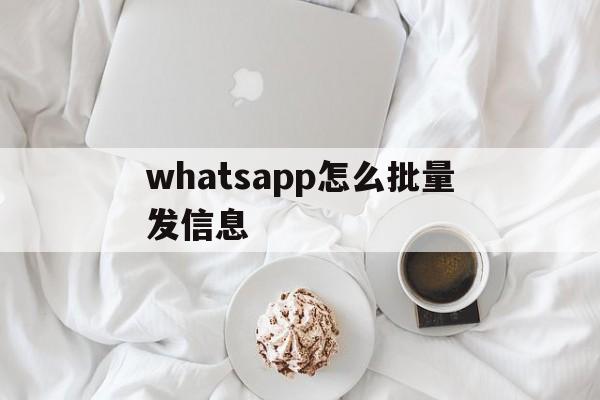 whatsapp怎么批量发信息,whatsapp如何一次发多张图片