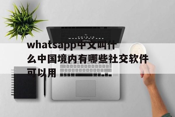 whatsapp中文叫什么中国境内有哪些社交软件可以用的简单介绍