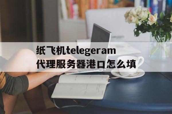 纸飞机telegeram代理服务器港口怎么填的简单介绍
