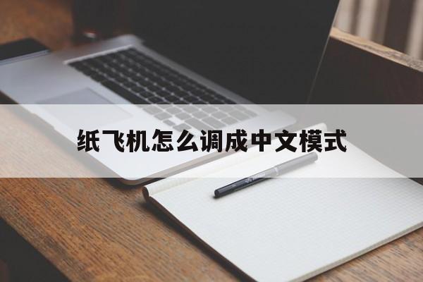 纸飞机怎么调成中文模式-纸飞机安装zh_cn语言包