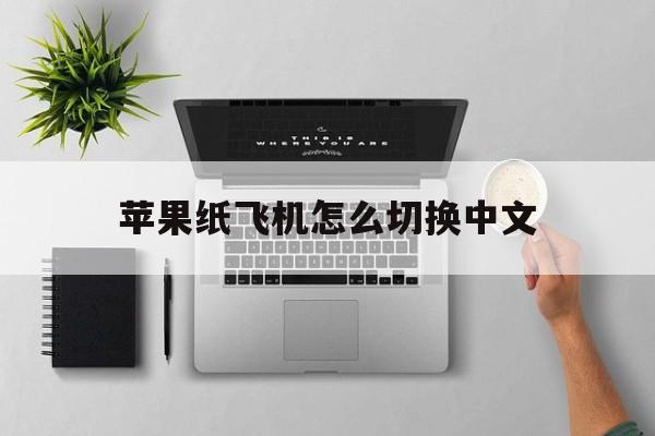 苹果纸飞机怎么切换中文-ios纸飞机怎么设置中文