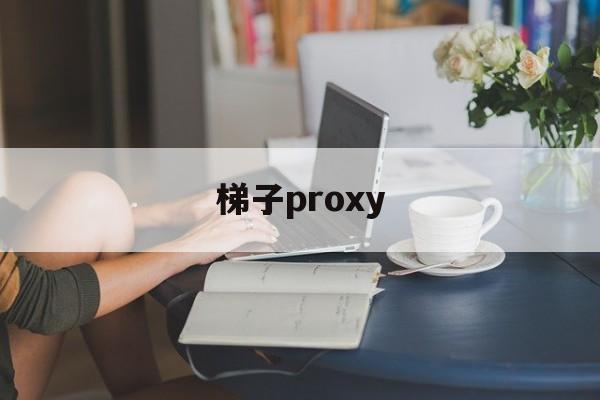 梯子proxy-梯子proton