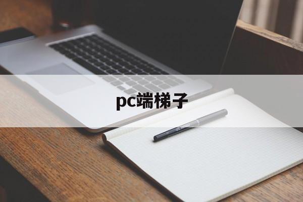 pc端梯子-pc端梯子是什么意思