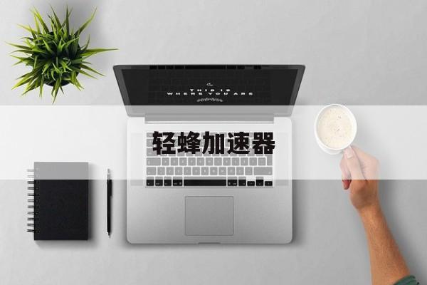 轻蜂加速器-轻蜂加速器破解版