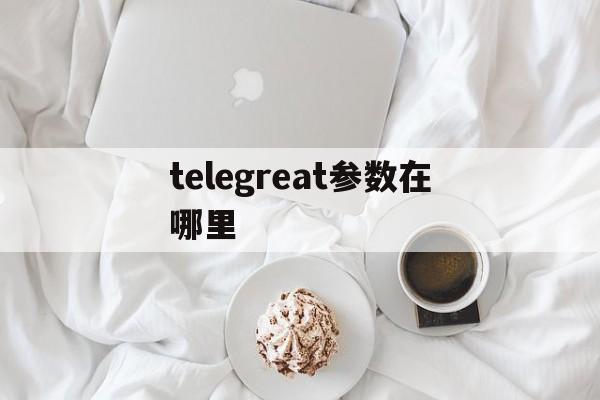 telegreat参数在哪里-telegreat验证码在哪里