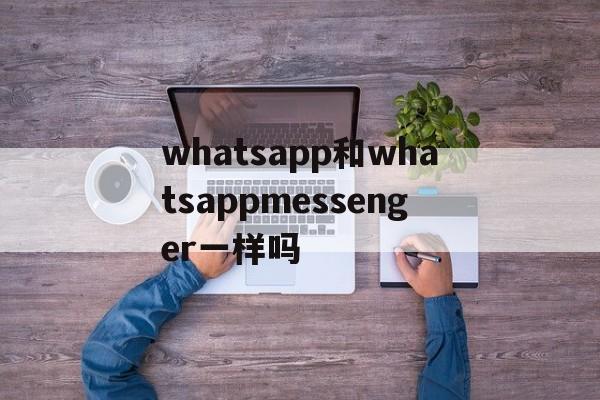whatsapp和whatsappmessenger一样吗-whatsappmessenger和business 的区别